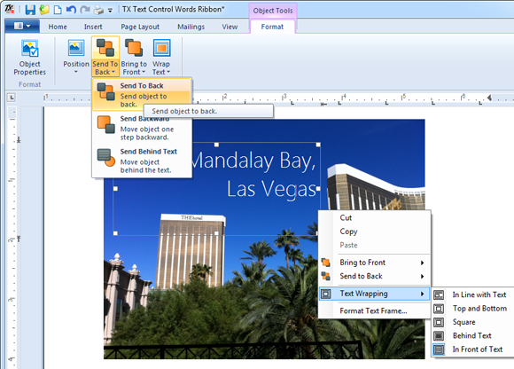 文字处理控件,TX Text Control ActiveX,透明文本框
